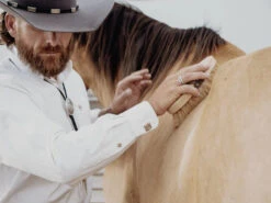 VOGT HORSEMAN BOLO -Johny Clothing Shop vogt silversmiths bolos the horseman bolo 29517668843716 700x a977ddf8 bcd1 4796 8e38 0fd2b1f31ae3